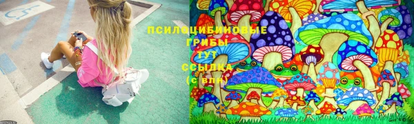 спайс Беломорск
