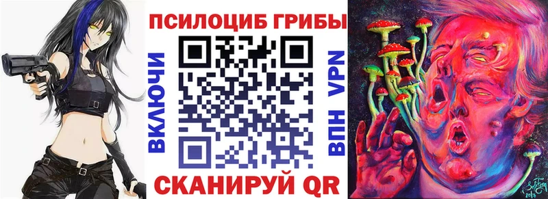 Галлюциногенные грибы Psilocybe Купить закладки Жуковский